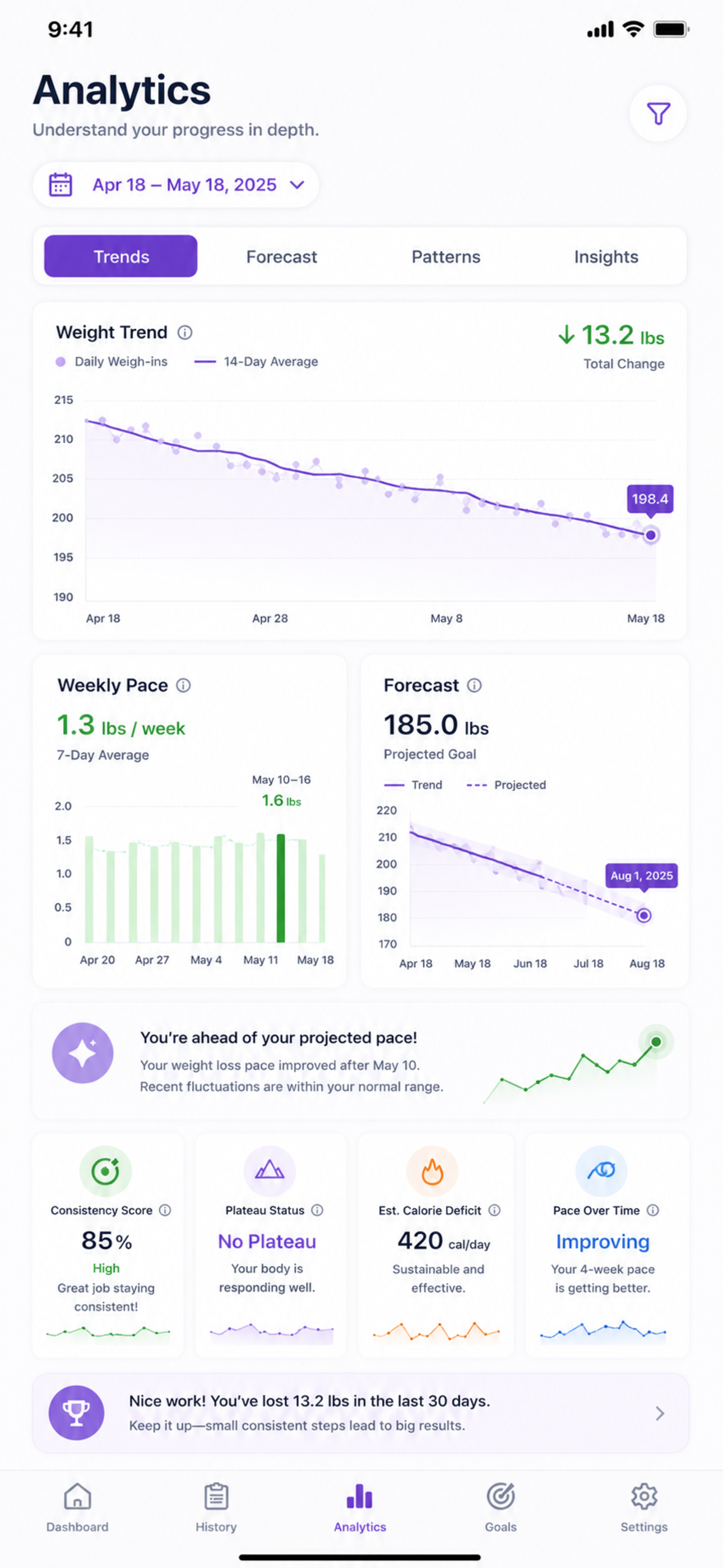 Weight Warrior analytics screenshot